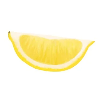 Lemon slice. Vector realistic illustration isolated on white background. Lemon Illustration