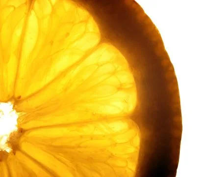 Lemon slice with a water droppings. Macro studio shot Stock Photos
