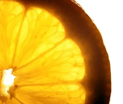 Lemon slice with a water droppings. Macro studio shot Stock Photos
