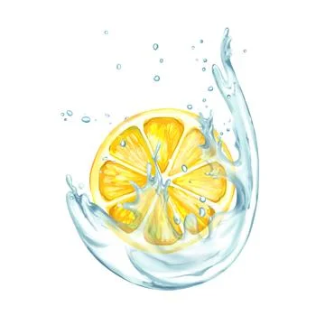 Lemon slice in water splashes. Fruit illustration on white background. Stock Illustration
