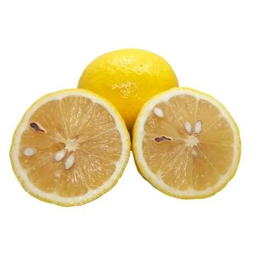 Lemon slice  on white background 09 Stock Photos