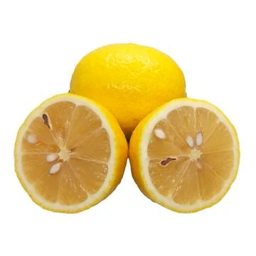 Lemon slice  on white background 10 Stock Photos