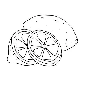 Lemon with slices, doodle style flat vector outline for coloring book Illustrazione stock