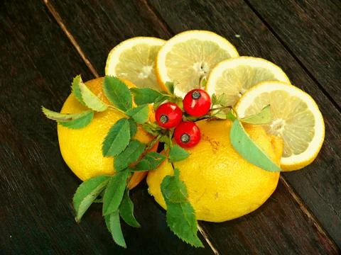 Lemon slices with rose hips Stock Photos