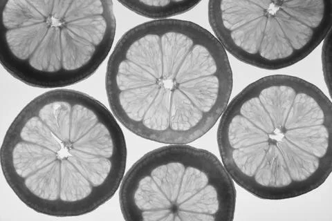Lemon slices on white background Stock Photos