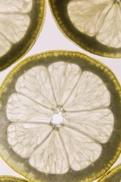 Lemon slices on white background Stock Photos