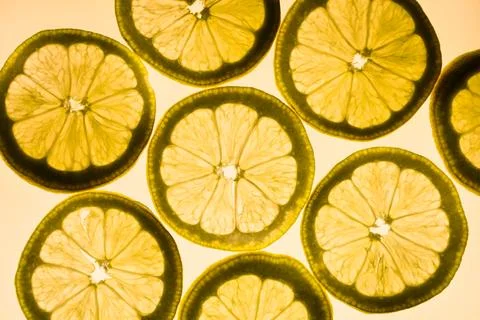 Lemon slices on white background Stock Photos