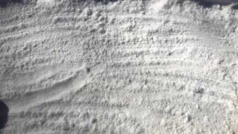 Lemon on the snow Stock Footage 87301871