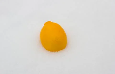 Lemon in the snow Foto stock
