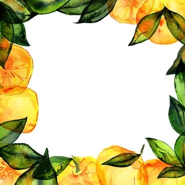 Lemon square frame with hand drawn watercolor Stock Illustration