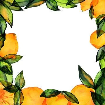 Lemon square frame with hand drawn watercolor Stock Illustration