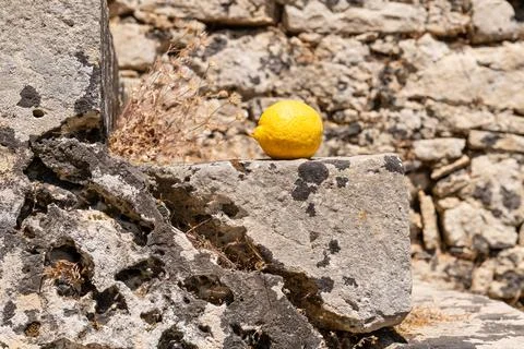 Lemon on Sunlit Stone Surface Foto stock