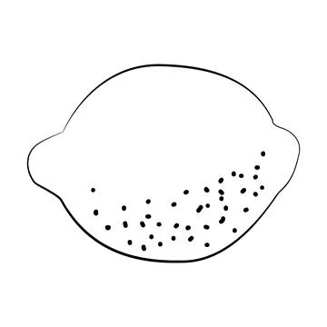 Lemon is a thin line. Vector on a white background Stock Illustration