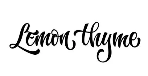 Lemon thyme - hand drawn spice label. Illustrazione stock