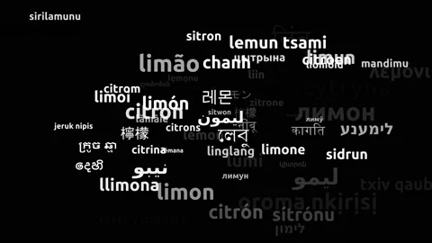 Lemon Translated in 66 Worldwide Languages Endless Looping 3d Zooming Wordclo Stock Footage 145194023