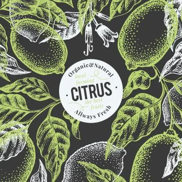 Lemon tree banner template. Hand drawn vector fruit illustration. Engraved st Stock Illustration