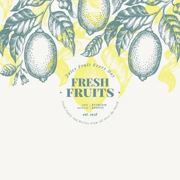 Lemon tree banner template. Hand drawn vector fruit illustration. Engraved style Stock Illustration