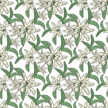 Lemon tree blossom seamless pattern Stock Illustration