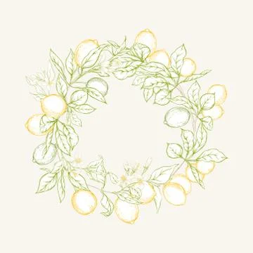 Lemon tree branch Stock Illustration