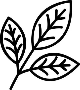 Lemon tree branch with leaves icon Stock Illustration