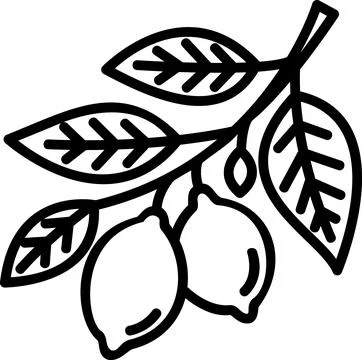 Lemon tree branch with leaves icon Stock Illustration