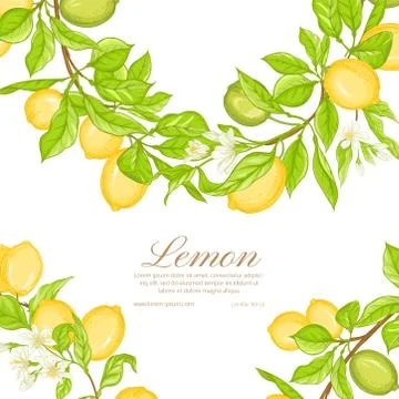 Lemon tree branch with lemons Stock Illustration