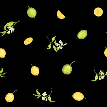 Lemon tree branch with lemons Stock Illustration