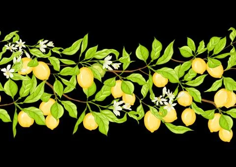 Lemon tree branch with lemons Stock Illustration