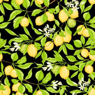 Lemon tree branch with lemons Stock Illustration