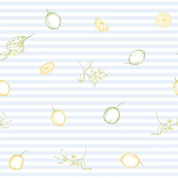 Lemon tree branch with lemons Stock Illustration