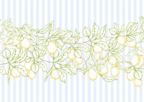 Lemon tree branch with lemons Stock Illustration