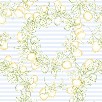 Lemon tree branch with lemons Stock Illustration