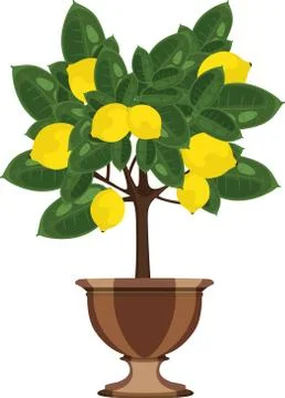 Lemon tree in a flowerpot Stock Illustration