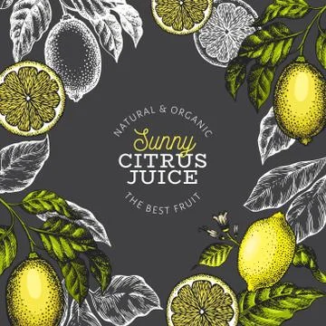 Lemon tree frame template. Hand drawn vector fruit illustration on dark backg Stock-Illustration