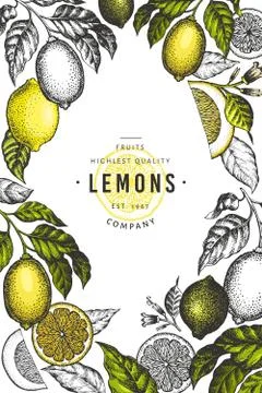 Lemon tree frame template. Hand drawn vector fruit illustration. Engraved sty Stock Illustration
