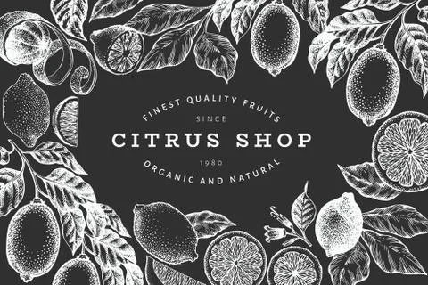 Lemon tree frame template. Hand drawn vector fruit illustration on chalk boar Stock Illustration