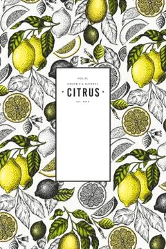 Lemon tree frame template. Hand drawn vector fruit illustration. Engraved sty Stock Illustration