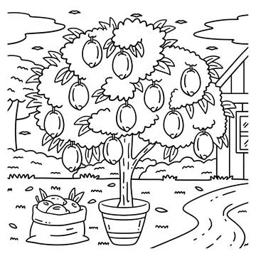 Lemon Tree Fruit Plant Coloring Page for Kids Stock Illustration