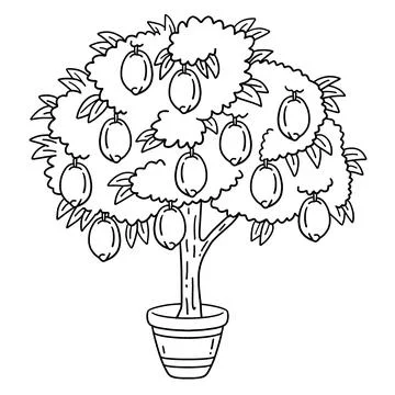Lemon Tree Fruit Plant Isolated Coloring Page Stock Illustration