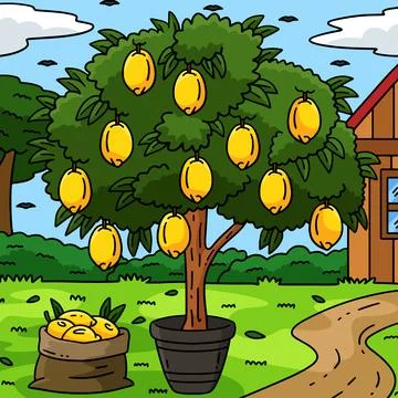Lemon Tree Fruit Plant Nature Colored Cartoon Stock Illustration