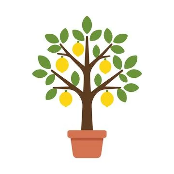 Lemon Tree with Fruits Isolated Citrus Fruit Agriculture Vector Illustration Stock Illustration