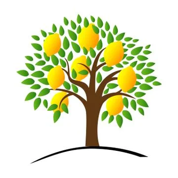 Lemon tree with green leaves. Vector illustration of a tree with Stock Illustration