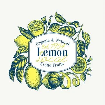Lemon tree logo template. Hand drawn vector fruit illustration. Engraved style Stock Illustration