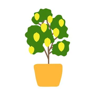 Lemon tree in a pot. Potted citrus tree. Isolated vector illustration Stock Illustration