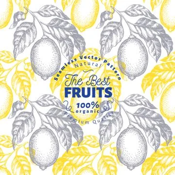 Lemon tree seamless pattern. Hand drawn vector fruit illustration. Engraved s Illustrazione stock
