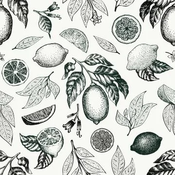 Lemon tree seamless pattern. Hand drawn vector fruit illustration. Engraved Stock Illustration