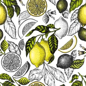 Lemon tree seamless pattern. Hand drawn vector fruit illustration. Engraved s Illustrazione stock