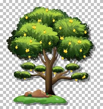 Lemon tree on transparent background Stock Illustration