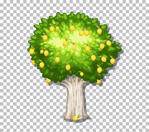 Lemon tree on transparent background Stock Illustration