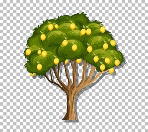 Lemon tree on transparent background Stock Illustration